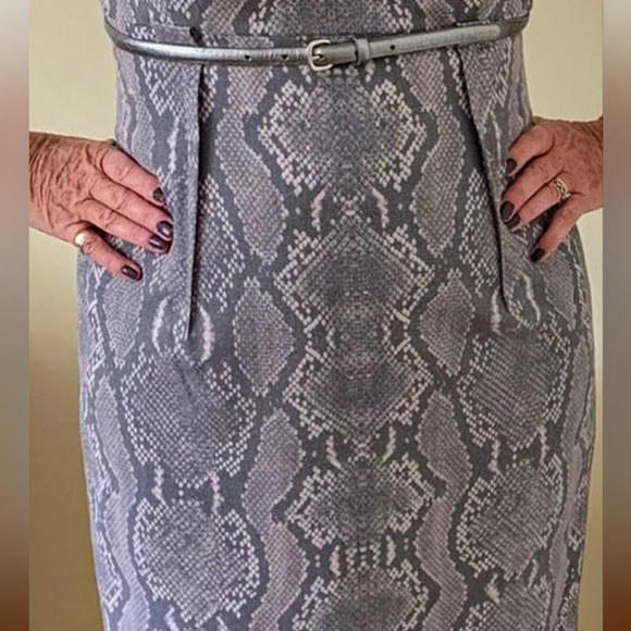 Calvin Klein, NWT, Gray, Snakeskin Print, Belted Sheath Dress, Size 12 - Picture 12 of 14
